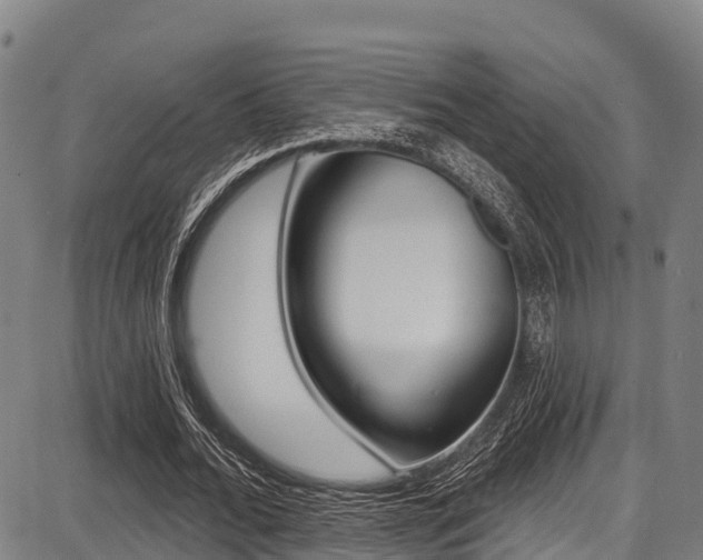 X0000087680676200705040751