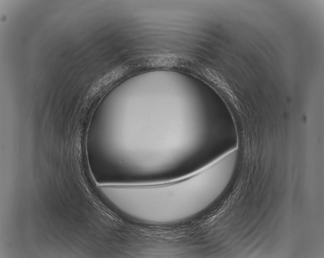 X0000087680681200705040751