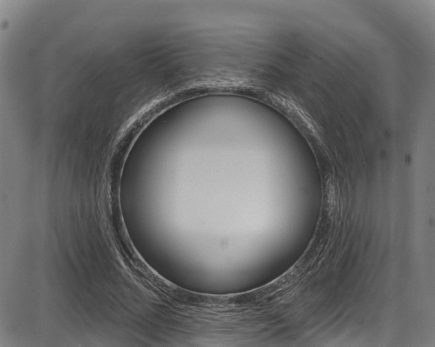 X0000087680684200705040751