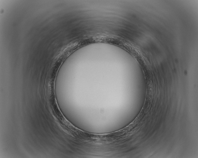 X0000087680690200705040751
