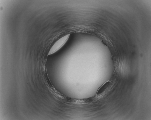 X0000087680719200705040750