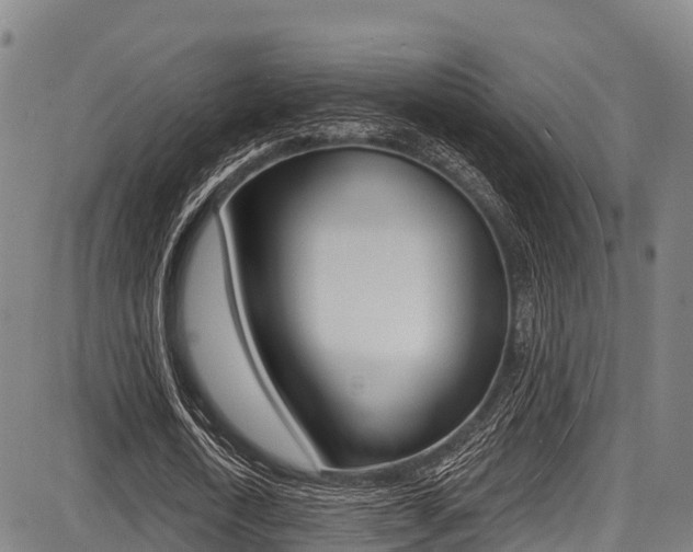 X0000087680722200705040750