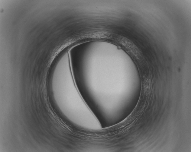 X0000087680727200705040750
