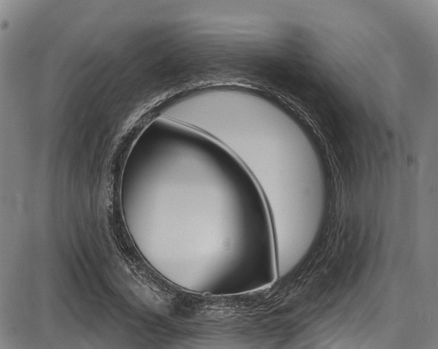 X0000087680732200705040750