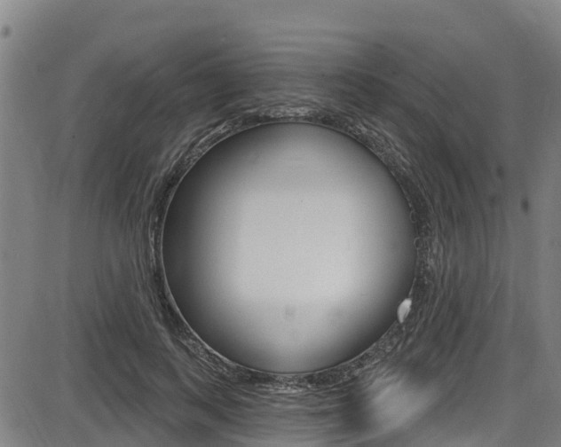 X0000087680743200705040750