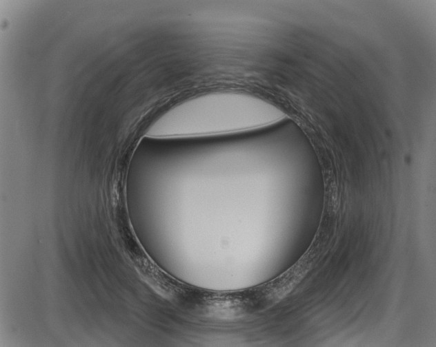 X0000087680746200705040750