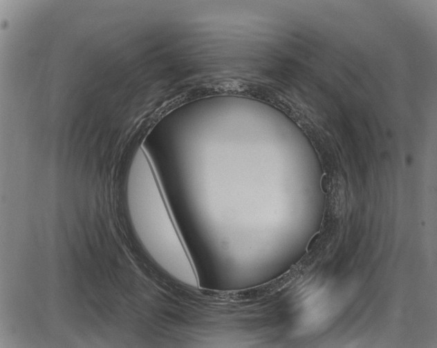 X0000087680747200705040750