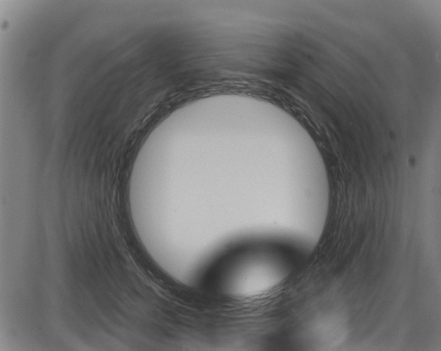 X0000087680750200705040750
