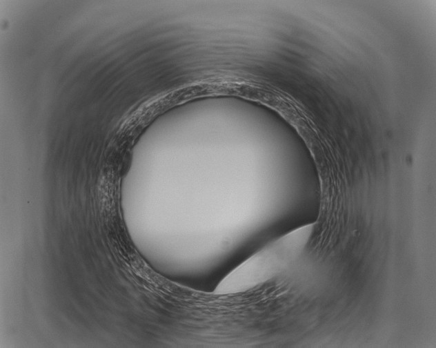 X0000087680773200705040749
