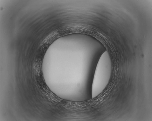 X0000087680774200705040749