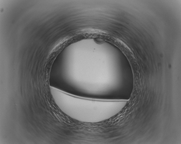 X0000087680775200705040749