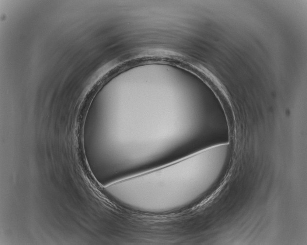 X0000087680783200705040749