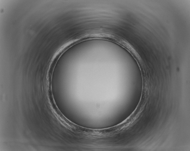 X0000087680787200705040749