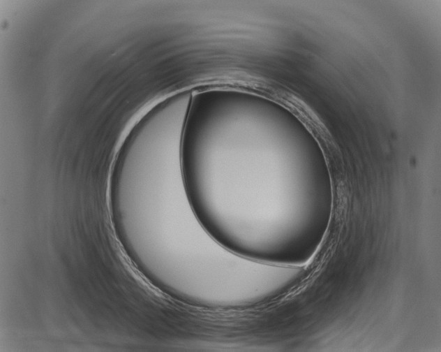X0000087680788200705040749