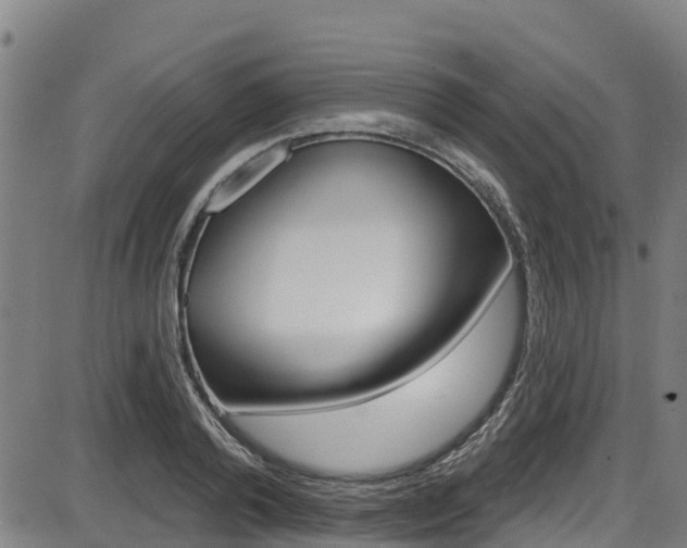 X0000087680792200705040749