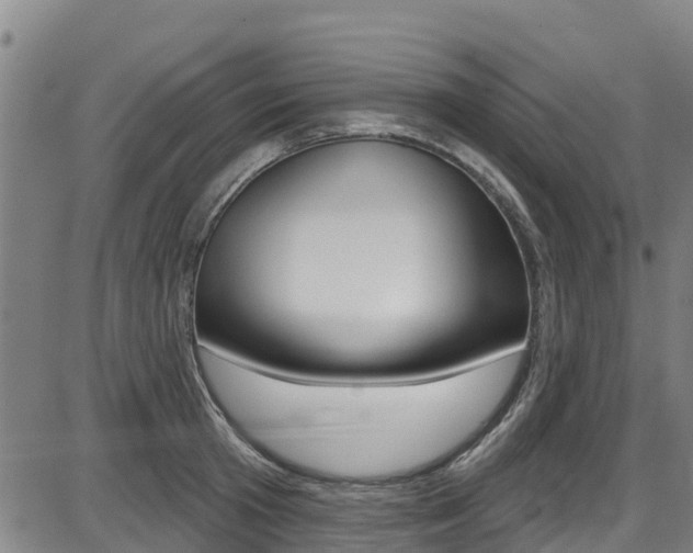 X0000087680801200705040749