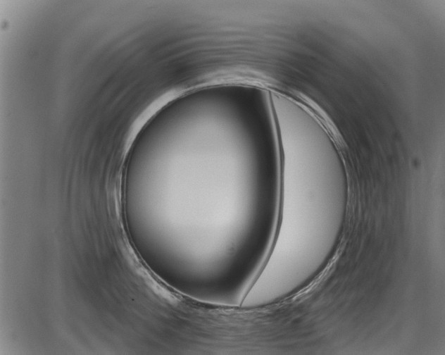 X0000087680812200705040749