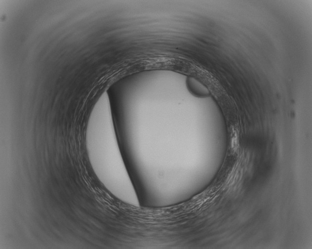 X0000087680819200705040748