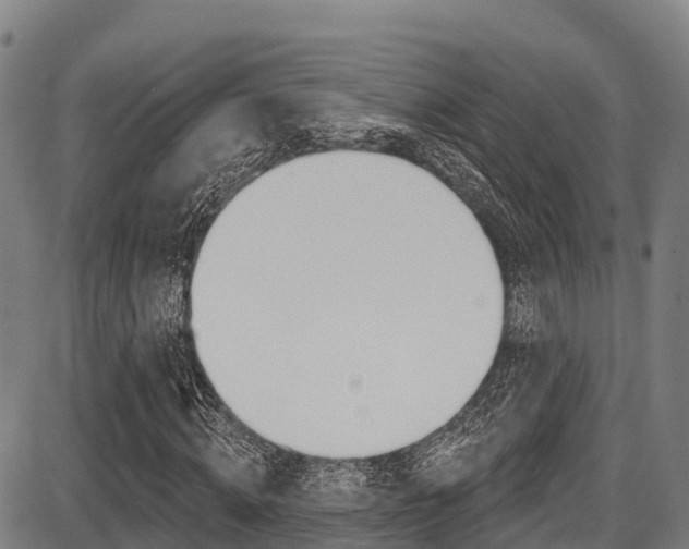 X0000087680820200705040748