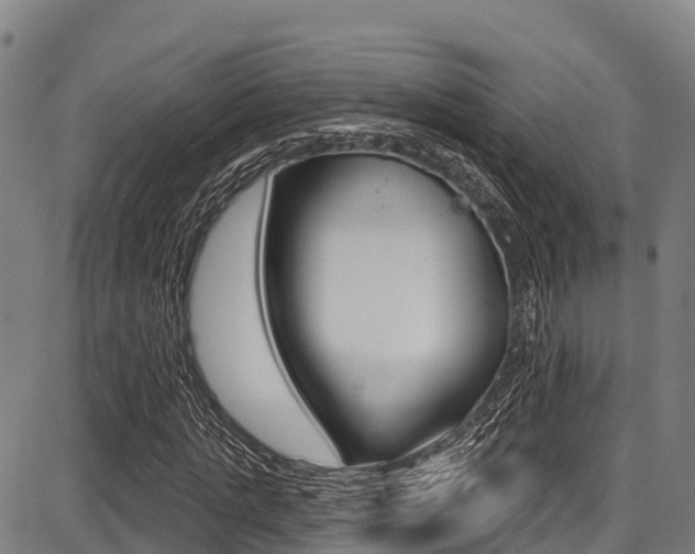 X0000087680821200705040748