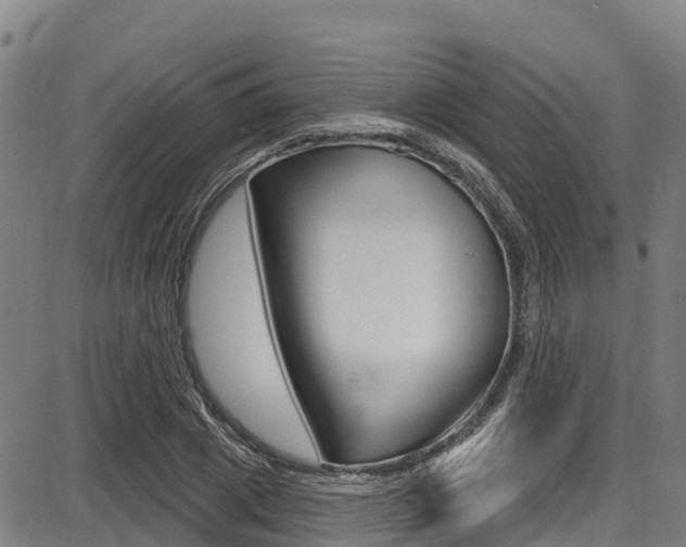 X0000087680833200705040748