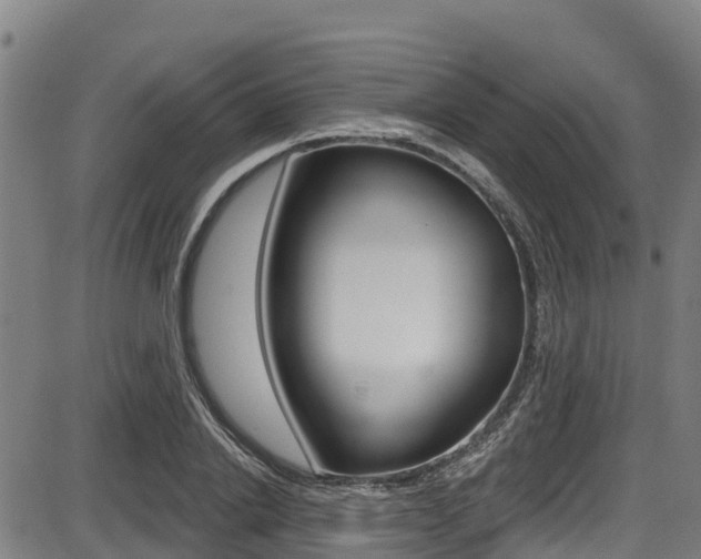 X0000087680838200705040748