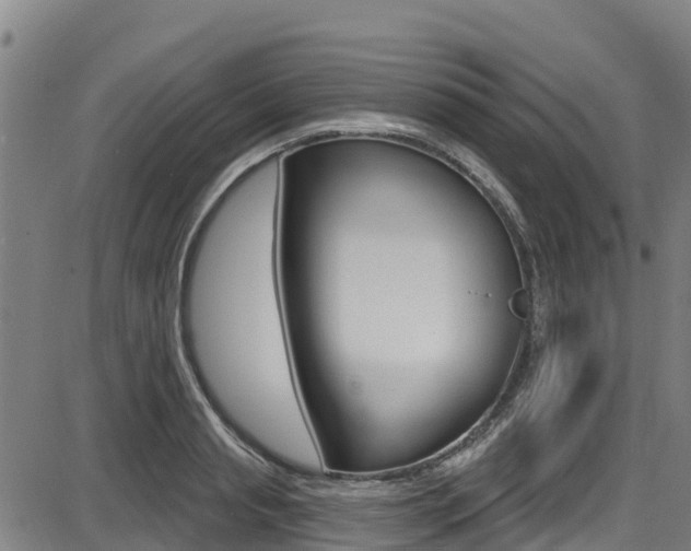 X0000087680845200705040748