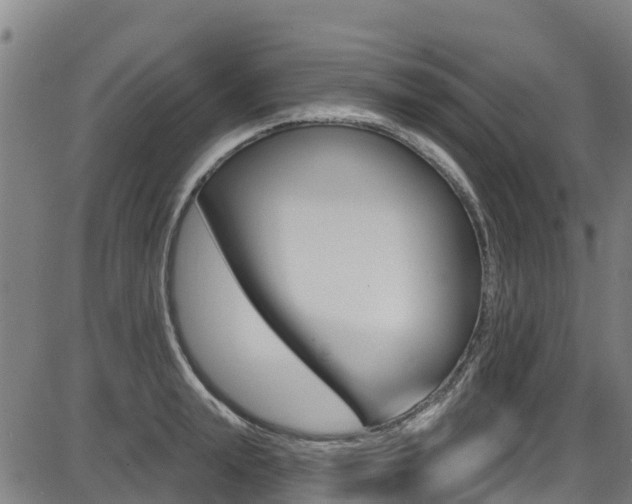 X0000087680847200705040748