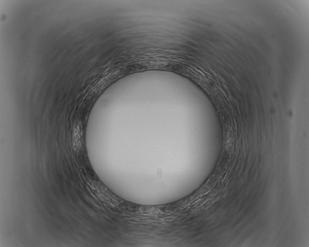 X0000087680866200705040748