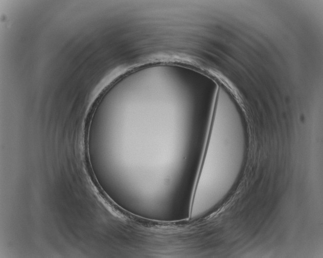 X0000087680894200705040747