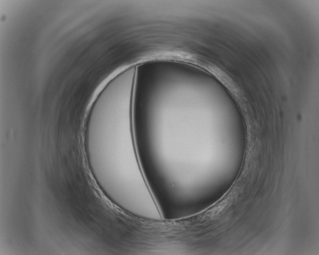 X0000087680912200705040747