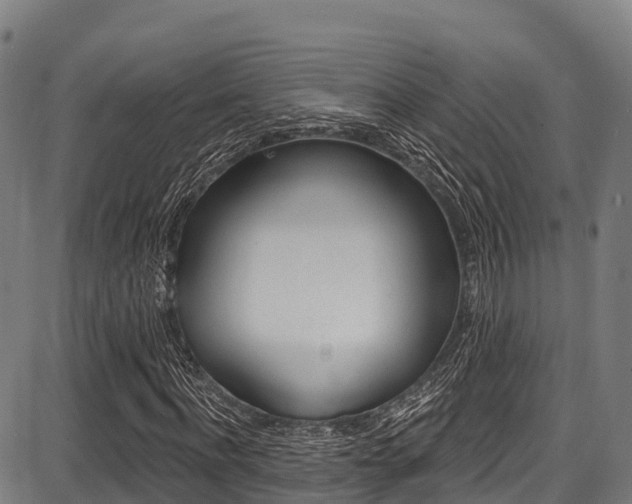 X0000087680916200705040746