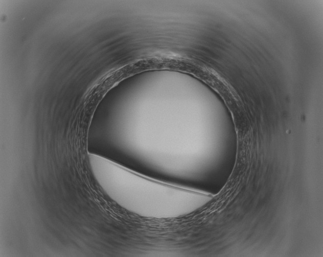 X0000087680919200705040746