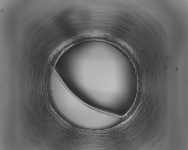 X0000087680922200705040747