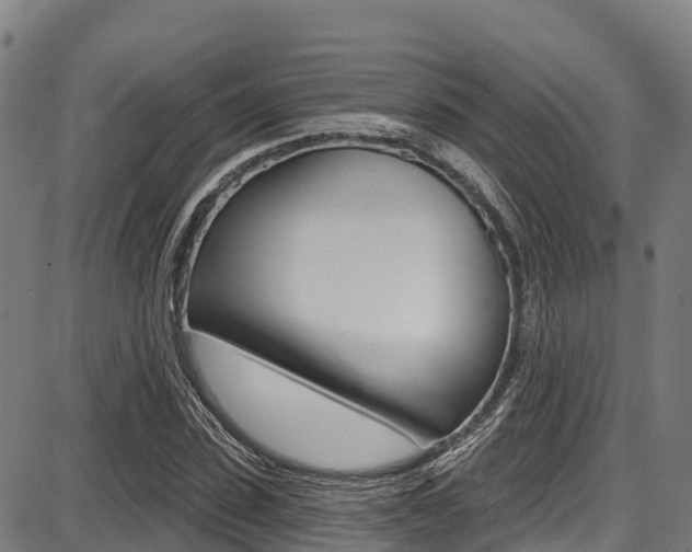 X0000087680923200705040747