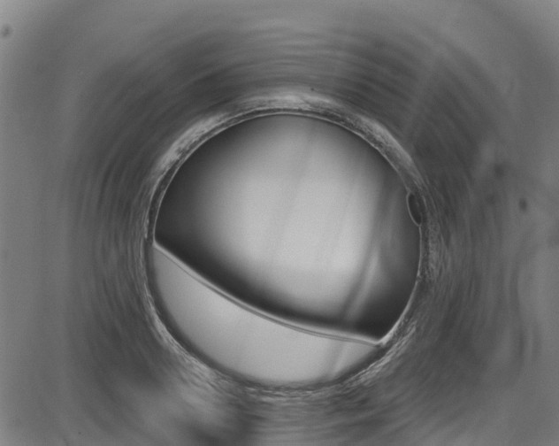 X0000087680938200705040747