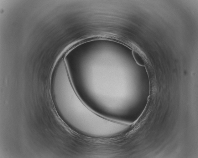 X0000087680940200705040747