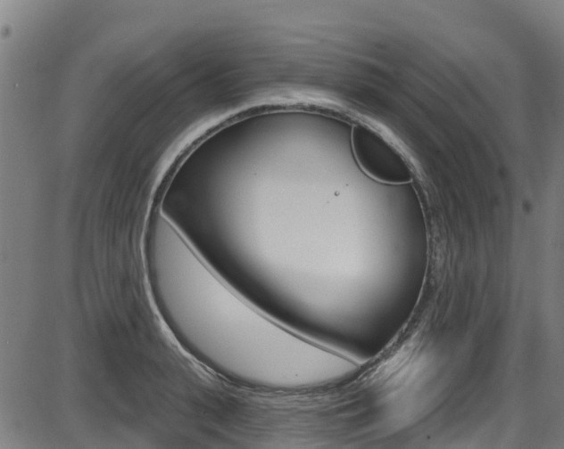 X0000087680943200705040747