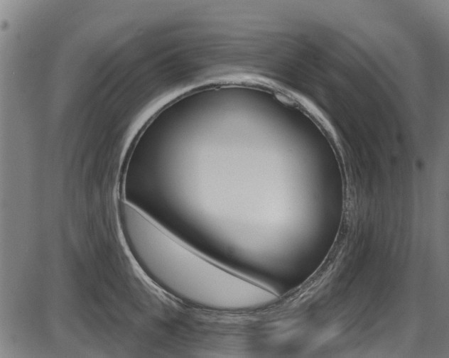 X0000087680951200705040747
