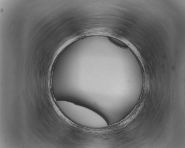 X0000087680957200705040747