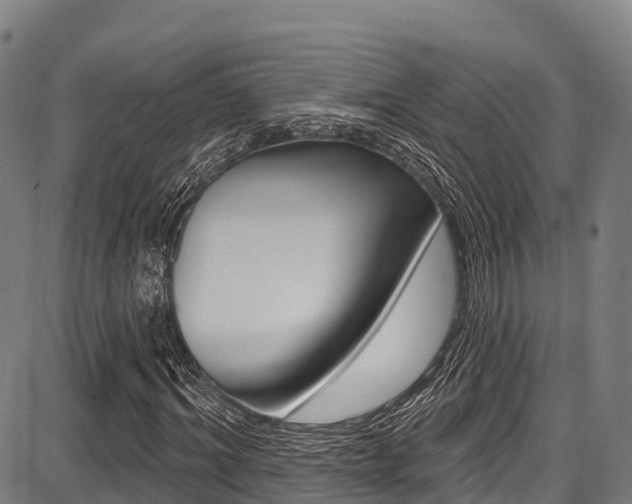 X0000087680964200705040746