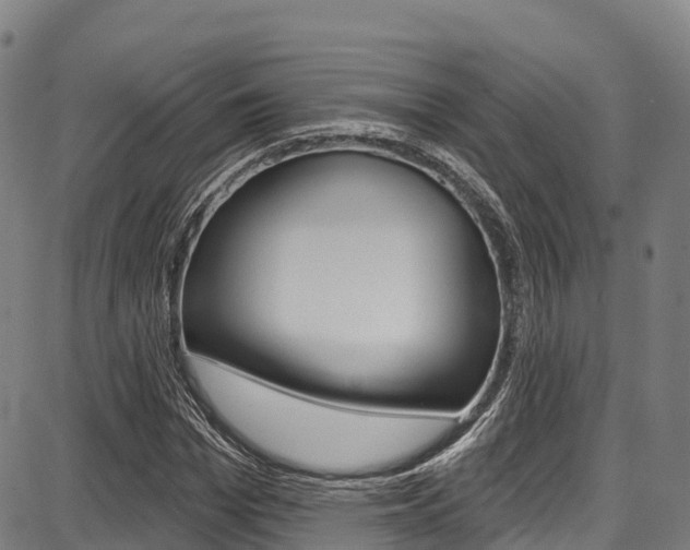 X0000087680969200705040746