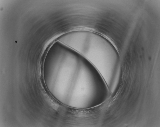 X0000087680987200705040746