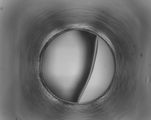 X0000087680992200705040746
