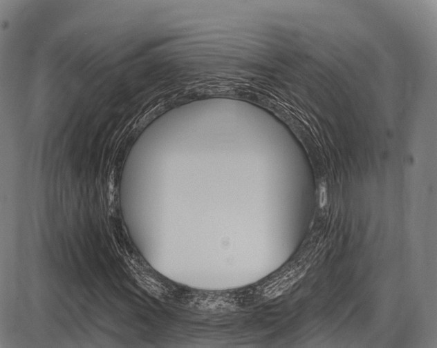 X0000087681011200705040745