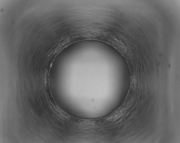 X0000087681012200705040745