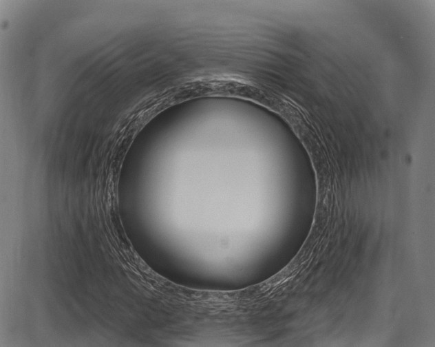 X0000087681014200705040745