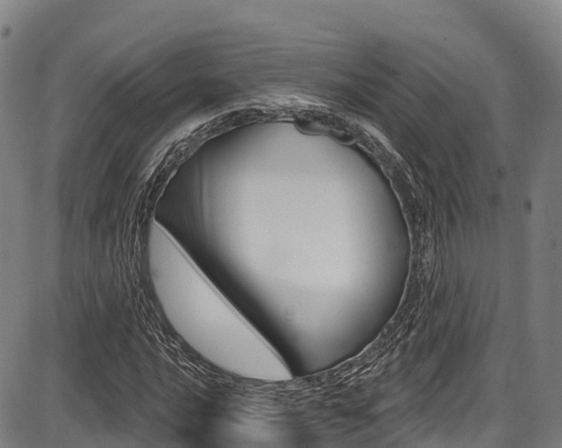 X0000087681016200705040745
