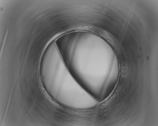 X0000087681036200705040745