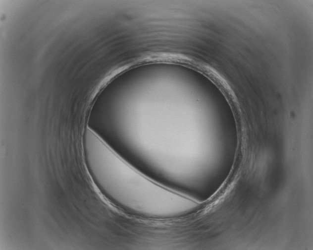 X0000087681041200705040745
